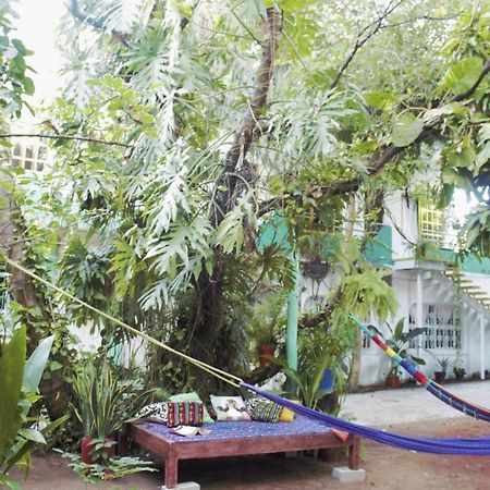 Casa Santaella Hotel Puerto Escondido  Eksteriør billede
