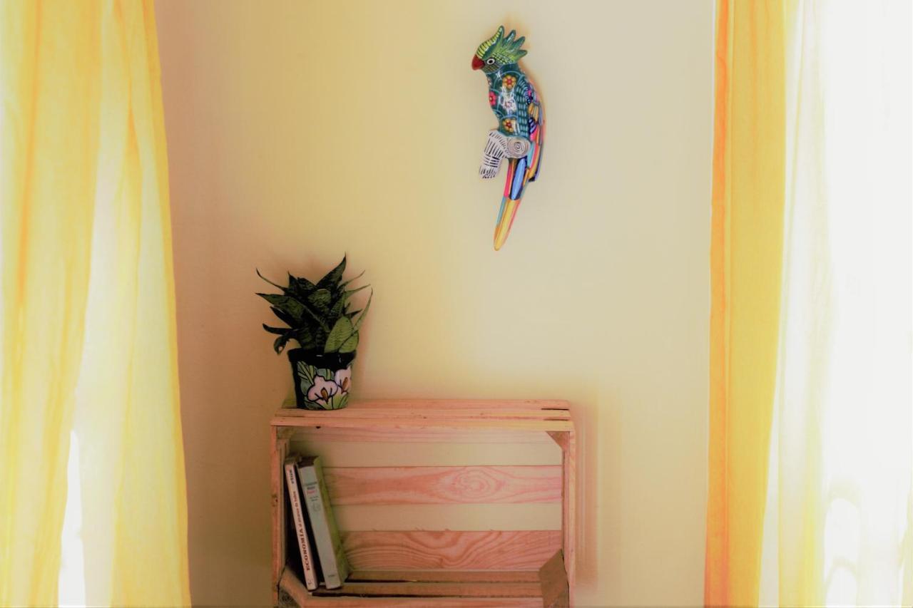Casa Santaella Hotel Puerto Escondido  Eksteriør billede